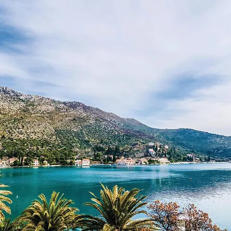 Ferienhaus Lovely In Veliki With Sauna Zaton (Dubrovnik-Neretva)